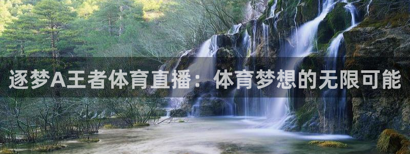 so米直播足球比赛