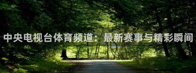 so米足球比赛直播：中央电视台体育频道：最新赛事与精彩瞬间