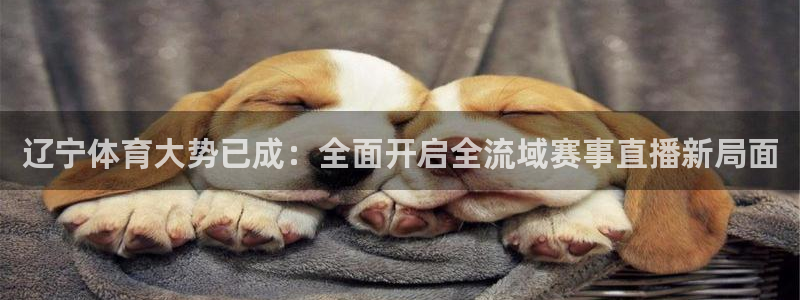 so米体育网页版：辽宁体育大势已成：全面开启全流域赛事直播新局面