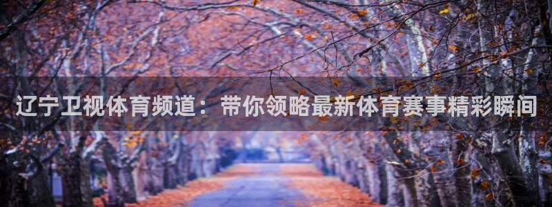 nbaso米直播：辽宁卫视体育频道：带你领略最新体育赛事精彩瞬间