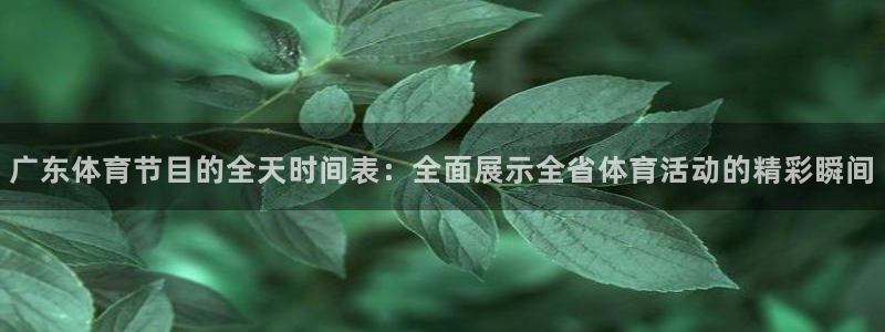 so米体育直播平台：广东体育节目的全天时间表：全面展示全省体育活动的精彩瞬间