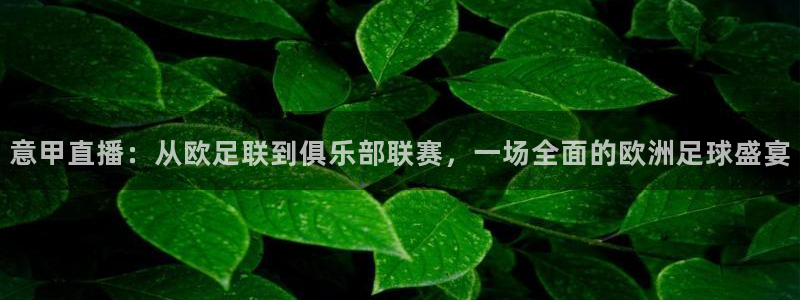 so米体育：意甲直播：从欧足联到俱乐部联赛，一场全面的欧洲足球盛宴