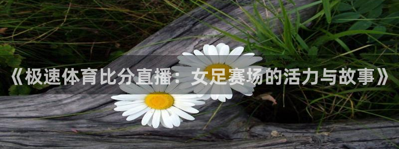 so米比赛直播：《极速体育比分直播：女足赛场的活力与故事》