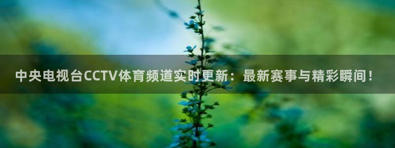 so米体育直播官网入口：中央电视台CCTV体育频道实时更新：最新赛事与精彩瞬间！